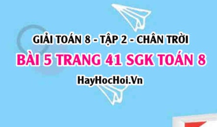 Bài 5 trang 41 Toán 8 Tập 2 Chân trời sáng tạo